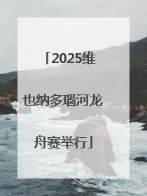 2025维也纳多瑙河龙舟赛举行