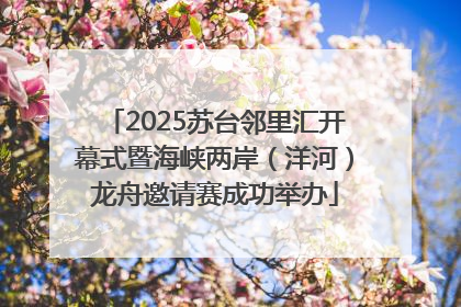 2025苏台邻里汇开幕式暨海峡两岸（洋河）龙舟邀请赛成功举办
