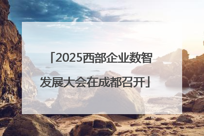 2025西部企业数智发展大会在成都召开