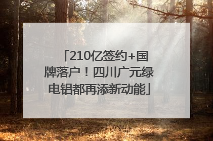 210亿签约+国牌落户！四川广元绿电铝都再添新动能