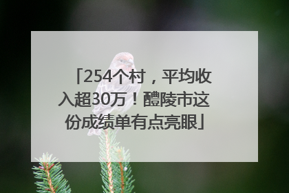 254个村，平均收入超30万！醴陵市这份成绩单有点亮眼