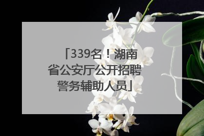 339名！湖南省公安厅公开招聘警务辅助人员