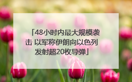 48小时内最大规模袭击 以军称伊朗向以色列发射超20枚导弹