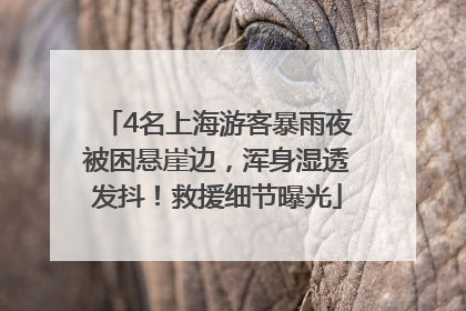 4名上海游客暴雨夜被困悬崖边，浑身湿透发抖！救援细节曝光