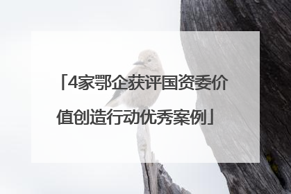 4家鄂企获评国资委价值创造行动优秀案例