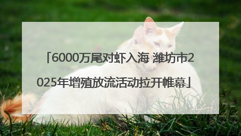 6000万尾对虾入海 潍坊市2025年增殖放流活动拉开帷幕