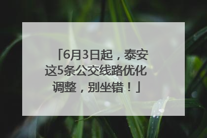 6月3日起，泰安这5条公交线路优化调整，别坐错！