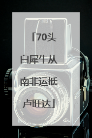 70头白犀牛从南非运抵卢旺达