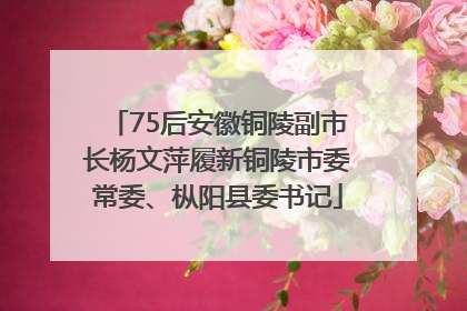75后安徽铜陵副市长杨文萍履新铜陵市委常委、枞阳县委书记