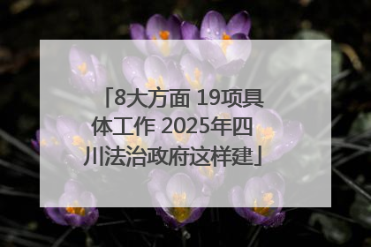 8大方面 19项具体工作 2025年四川法治政府这样建