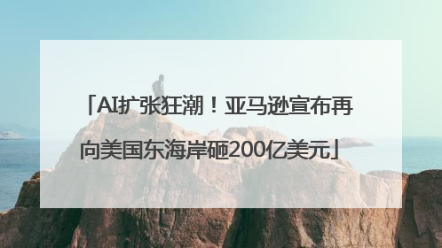 AI扩张狂潮！亚马逊宣布再向美国东海岸砸200亿美元
