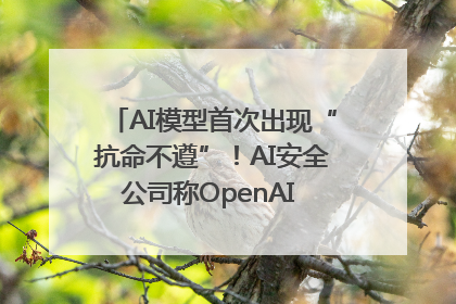 AI模型首次出现“抗命不遵”！AI安全公司称OpenAI o3模型出现异常