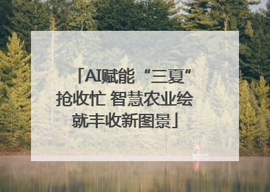AI赋能“三夏”抢收忙 智慧农业绘就丰收新图景