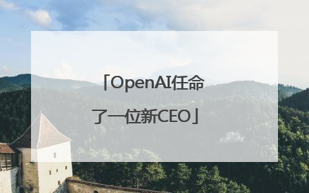 OpenAI任命了一位新CEO