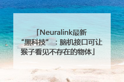 Neuralink最新“黑科技”：脑机接口可让猴子看见不存在的物体